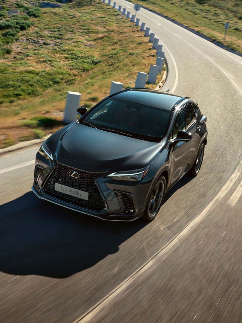 plug-in hybrid