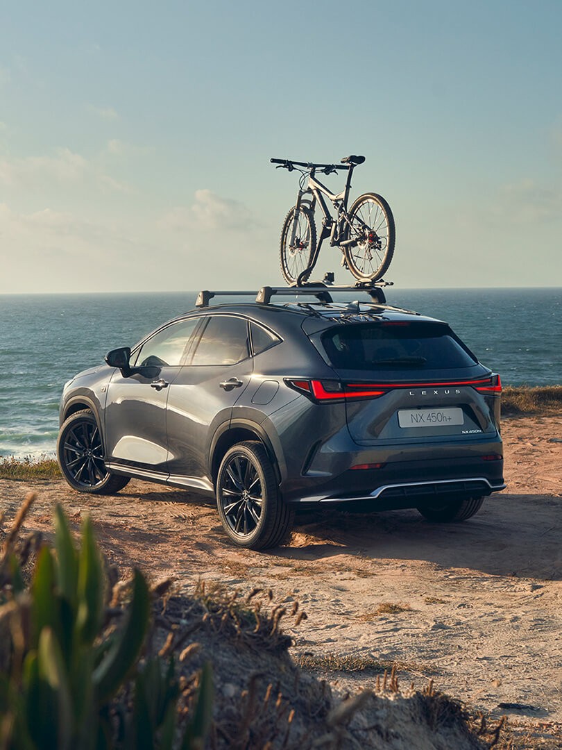 plug-in hybrid