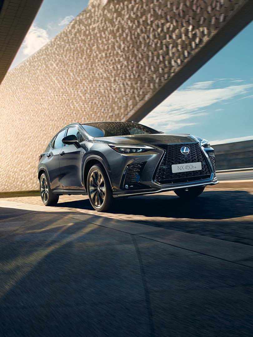 lexus ngnx